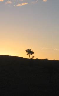 Sonnenuntergang in der Wüste Namib
